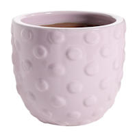 Providence Isabella Light Purple Outdoor Planter, Small