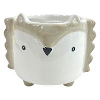 Indoor Mini Hedgehog Planter, 4"