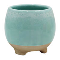 Indoor Cleo Teal Planter, 4"