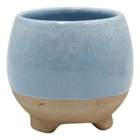 Indoor Cleo Blue Planter, 4"