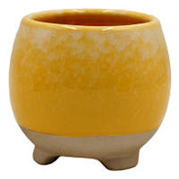 Indoor Cleo Yellow Planter, 4"