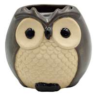 Indoor Owl Planter, 4"