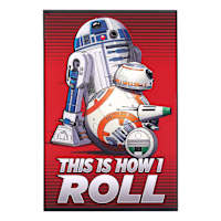 Star Wars This Is How I Roll Sign
