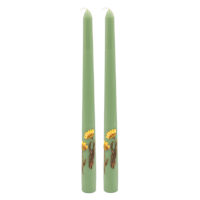 2-Pack Yellow Dried Flower Embedded Green Taper Candles, 10"