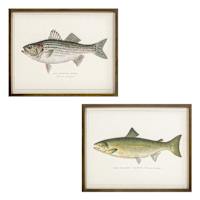 Lake & Lodge Set of 2 Framed Fish Wooden Wall Décor
