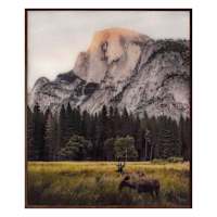 Lake & Lodge Glass Framed Grazing Pair Print Wall Art, 20x24