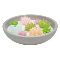 Succulent Garden Citronella Candle, 11oz