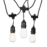 30-Count Clear D40 Edison String Lights with Black Commercial Wire