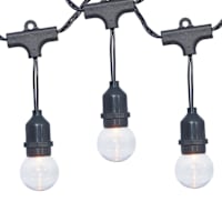 30-Count Clear G40 Globe String Lights with Black Commercial Wire