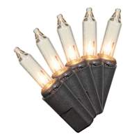 100-Count Clear Mini Lights with Black Wire
