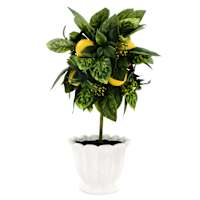 Lemon Plant in Ceramic Pot, 15"