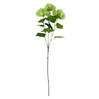 Green Mini Hydrangea Stem, 27"