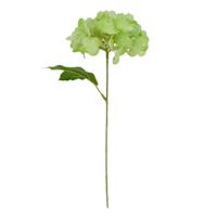 Green Mini Hydrangea Pick, 10"