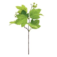 Willow Crossley Flowering Pick, 12"