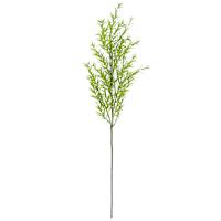Dill Stem, 27"