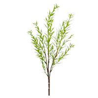 Dill Pick, 10"