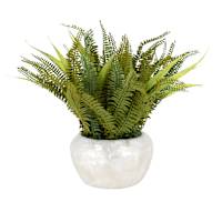 Fern in Pearlescent Pot, 14"