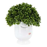 Boxwood in Face Vessel, 9"