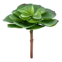 Green Succulent Pick, 5.5"
