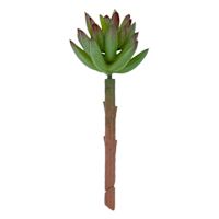 Green Succulent Pick, 5.5"