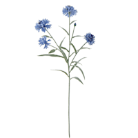 Blue Natural Touch Cornflower Stem, 25"