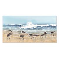 Honeybloom Sandpiper Canvas Wall Art, 18x36