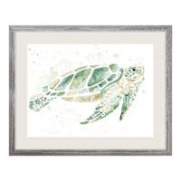 Honeybloom Glass Framed Turtle Print Wall Art, 16x20