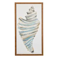 Honeybloom Framed Seashell Canvas Wall Art, 9x17