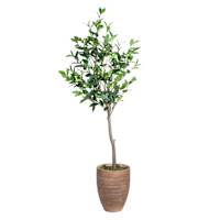 Bay Tree in Magnesia Pot, 47"