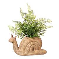 Fern in Snail Pot