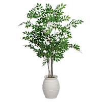 Green Leaf Tree in Magnesia Pot, 60"