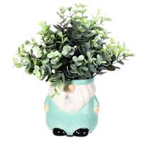 Eucalyptus in Green Gnome Pot