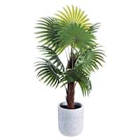Palm Tree, 50"