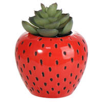 Mini Succulents in Red Strawberry Pot, 4.8"