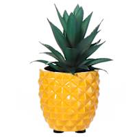 Mini Succulents in Pineapple Pot, 7"