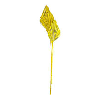 Yellow Palm Spear, 19"