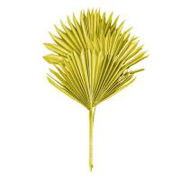 Olive Sun Spear, 19"