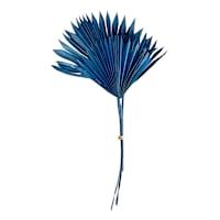 Blue Sun Spear