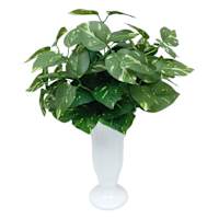 Greenery in Ceramic Urn Pot, 18"