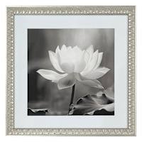 Glass Framed Lotus Print Wall Art, 18"