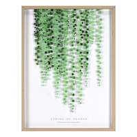 Framed Hanging Greenery Print Under Glass, 18x24