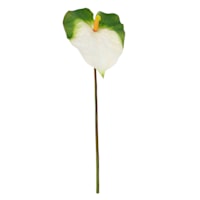 Green & White Anthurium Stem, 27.5"