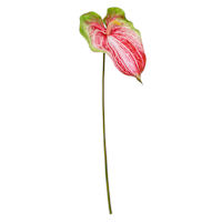 Green & Pink Anthurium Stem, 27.5"