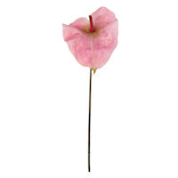Pink Anthurium Stem, 33.5"