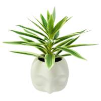 Lilies in Face Pot, 10.5"
