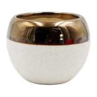Indoor Cream Ceramic Pot with Bronze Trim, Medium