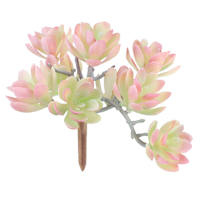Light Pink Echeveria Pick, 5"