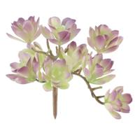 Purple Echeveria Pick, 5"