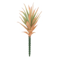 Air Plant Pick, 9"