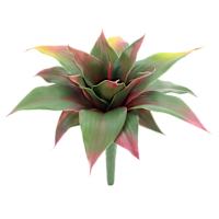 Aloe Pick, 10"